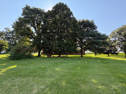 Tiny photo for 503 N State Street, Bellflower, IL 62174 (MLS # 12703519)