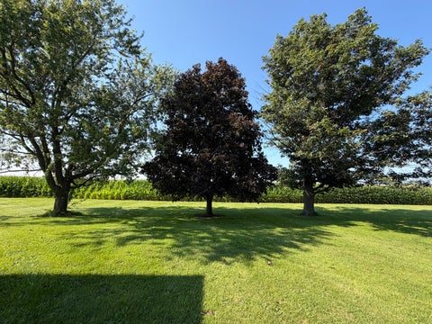 Tiny photo for 503 N State Street, Bellflower, IL 62174 (MLS # 12703519)