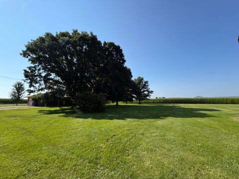 Tiny photo for 503 N State Street, Bellflower, IL 62174 (MLS # 12703519)