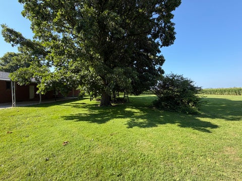 Tiny photo for 503 N State Street, Bellflower, IL 62174 (MLS # 12703519)