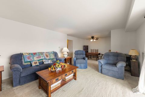 Tiny photo for 245 S Park Lane #321, Palatine, IL 60074 (MLS # 12015807)