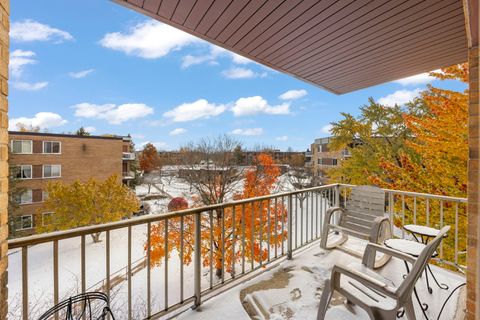 Tiny photo for 245 S Park Lane #321, Palatine, IL 60074 (MLS # 12015807)