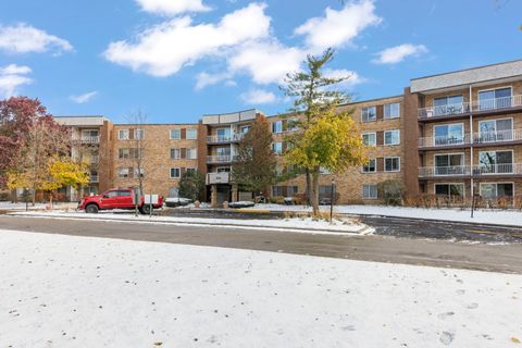 Photo of 245 S Park Lane #321, Palatine, IL 60074 (MLS # 12015807)