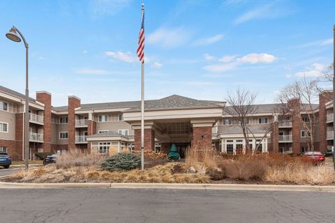 801 N Mclean Boulevard 222 Elgin IL 60123