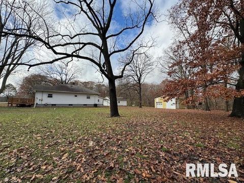 Tiny photo for 5267 Old North Road, Christopher, IL 62822 (MLS # EB460637)