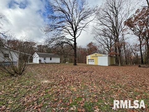 Tiny photo for 5267 Old North Road, Christopher, IL 62822 (MLS # EB460637)
