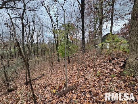 Tiny photo for 5267 Old North Road, Christopher, IL 62822 (MLS # EB460637)