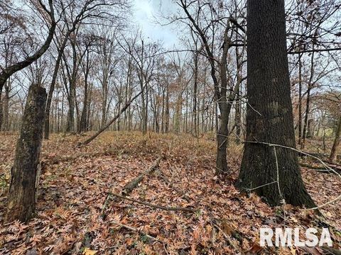 Tiny photo for 5267 Old North Road, Christopher, IL 62822 (MLS # EB460637)