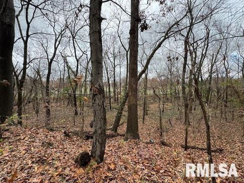 Tiny photo for 5267 Old North Road, Christopher, IL 62822 (MLS # EB460637)