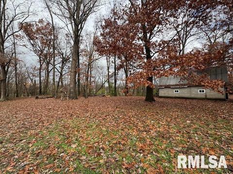 Tiny photo for 5267 Old North Road, Christopher, IL 62822 (MLS # EB460637)