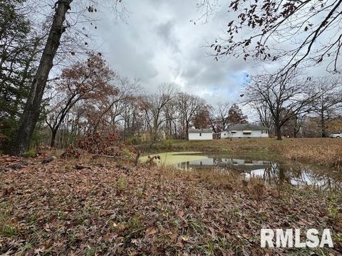 Tiny photo for 5267 Old North Road, Christopher, IL 62822 (MLS # EB460637)