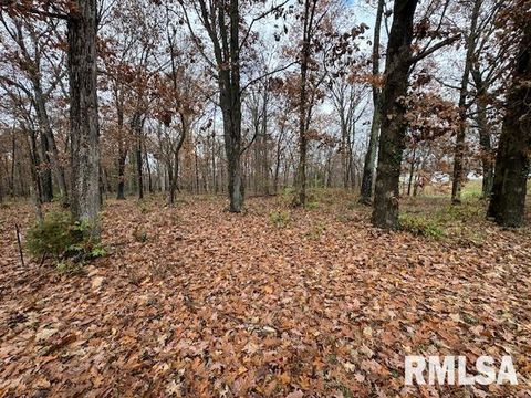 Tiny photo for 5267 Old North Road, Christopher, IL 62822 (MLS # EB460637)