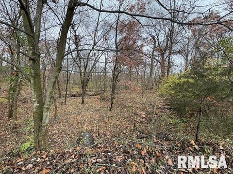 Tiny photo for 5267 Old North Road, Christopher, IL 62822 (MLS # EB460637)