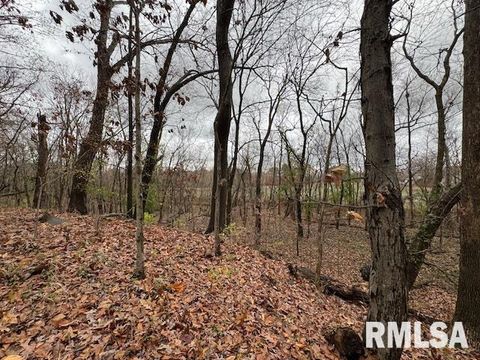 Tiny photo for 5267 Old North Road, Christopher, IL 62822 (MLS # EB460637)