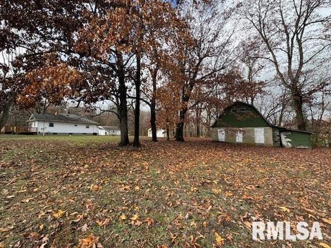 Tiny photo for 5267 Old North Road, Christopher, IL 62822 (MLS # EB460637)