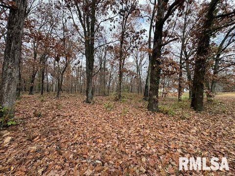 Tiny photo for 5267 Old North Road, Christopher, IL 62822 (MLS # EB460637)