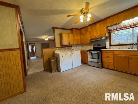 Tiny photo for 5267 Old North Road, Christopher, IL 62822 (MLS # EB460637)