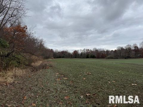 Tiny photo for 5267 Old North Road, Christopher, IL 62822 (MLS # EB460637)
