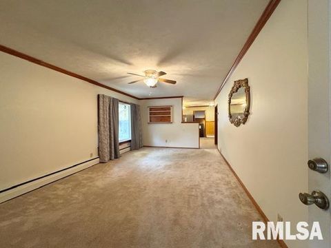 Tiny photo for 5267 Old North Road, Christopher, IL 62822 (MLS # EB460637)