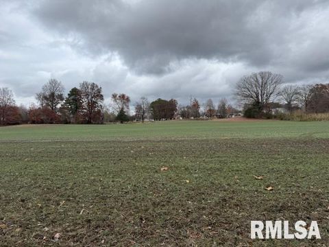 Tiny photo for 5267 Old North Road, Christopher, IL 62822 (MLS # EB460637)