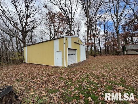 Tiny photo for 5267 Old North Road, Christopher, IL 62822 (MLS # EB460637)