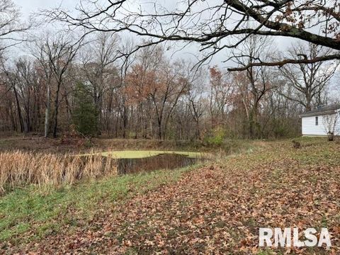 Tiny photo for 5267 Old North Road, Christopher, IL 62822 (MLS # EB460637)
