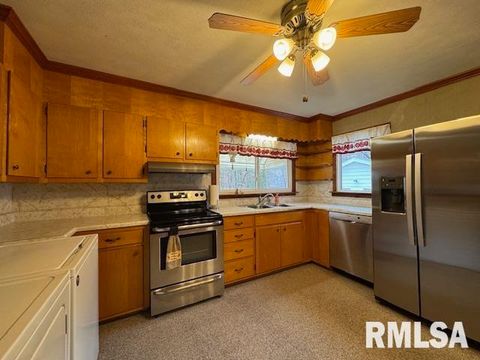 Tiny photo for 5267 Old North Road, Christopher, IL 62822 (MLS # EB460637)