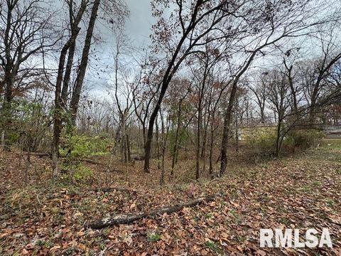 Tiny photo for 5267 Old North Road, Christopher, IL 62822 (MLS # EB460637)