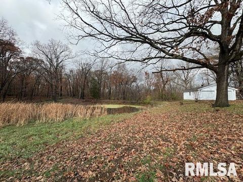 Tiny photo for 5267 Old North Road, Christopher, IL 62822 (MLS # EB460637)