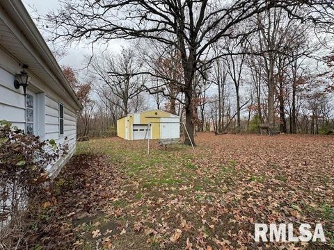 Tiny photo for 5267 Old North Road, Christopher, IL 62822 (MLS # EB460637)