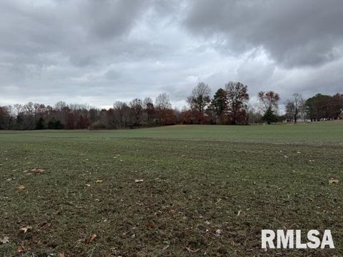 Tiny photo for 5267 Old North Road, Christopher, IL 62822 (MLS # EB460637)