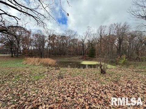 Tiny photo for 5267 Old North Road, Christopher, IL 62822 (MLS # EB460637)