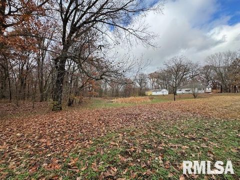 Tiny photo for 5267 Old North Road, Christopher, IL 62822 (MLS # EB460637)