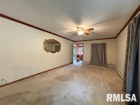 Tiny photo for 5267 Old North Road, Christopher, IL 62822 (MLS # EB460637)