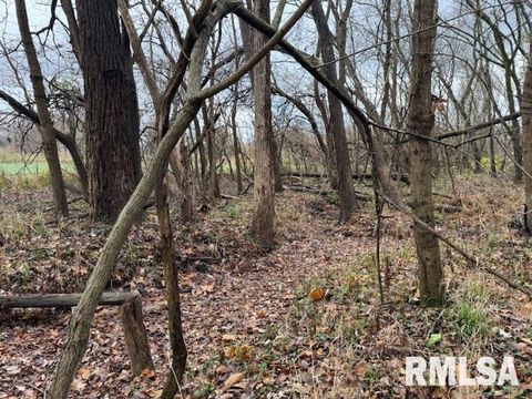 Tiny photo for 5267 Old North Road, Christopher, IL 62822 (MLS # EB460637)