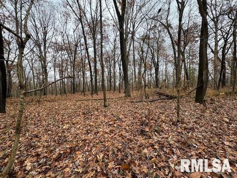 Tiny photo for 5267 Old North Road, Christopher, IL 62822 (MLS # EB460637)