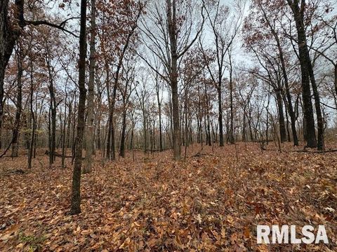 Tiny photo for 5267 Old North Road, Christopher, IL 62822 (MLS # EB460637)