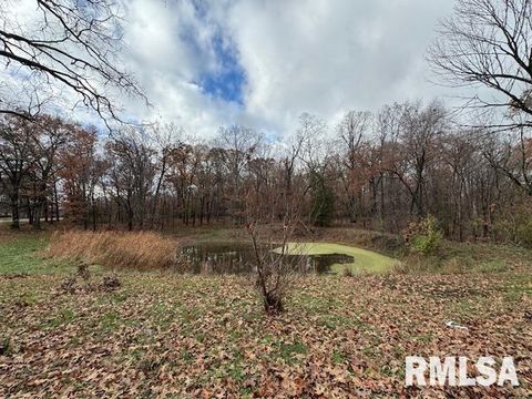 Tiny photo for 5267 Old North Road, Christopher, IL 62822 (MLS # EB460637)