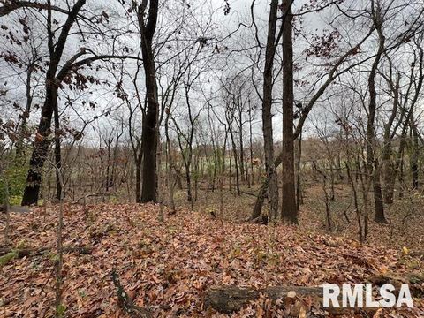 Tiny photo for 5267 Old North Road, Christopher, IL 62822 (MLS # EB460637)