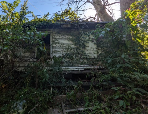 Tiny photo for 7829 S Marquette Avenue, Chicago, IL 60649 (MLS # 12793089)