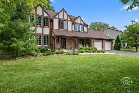 Photo of 1101 W Bauer Road, Naperville, IL 60563 (MLS # 12599881)