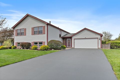 705 OLD MILL GROVE Road Lake Zurich IL 60047