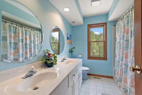 Tiny photo for New Lenox, IL 60451 (MLS # 12509876)