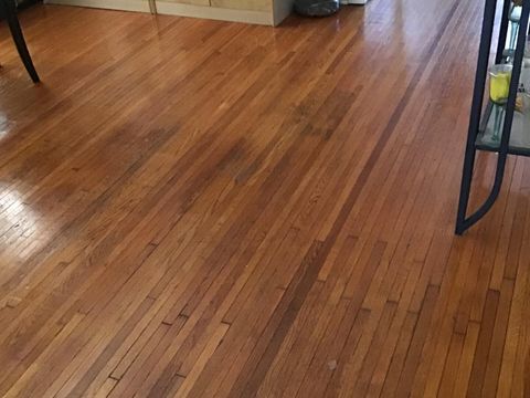 Tiny photo for Maywood, IL 60153 (MLS # 12587992)