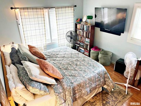 Tiny photo for 803 BUTLER Street, Metropolis, IL 62960 (MLS # EB458627)