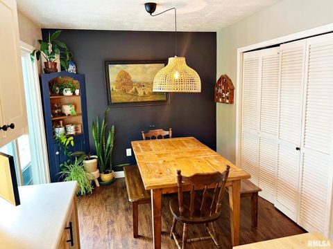 Tiny photo for 803 BUTLER Street, Metropolis, IL 62960 (MLS # EB458627)