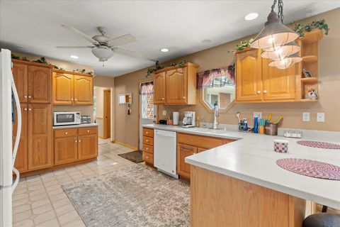 Tiny photo for 609 S Park Street, Paxton, IL 60957 (MLS # 12401199)
