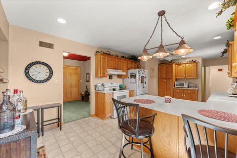 Tiny photo for 609 S Park Street, Paxton, IL 60957 (MLS # 12401199)