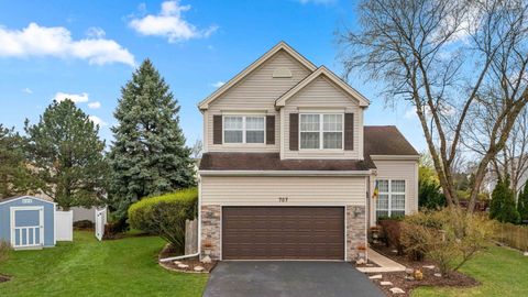 707 Marigold Court Naperville IL 60540