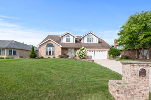 13124 W Beaver Lake Drive Homer Glen IL 60491